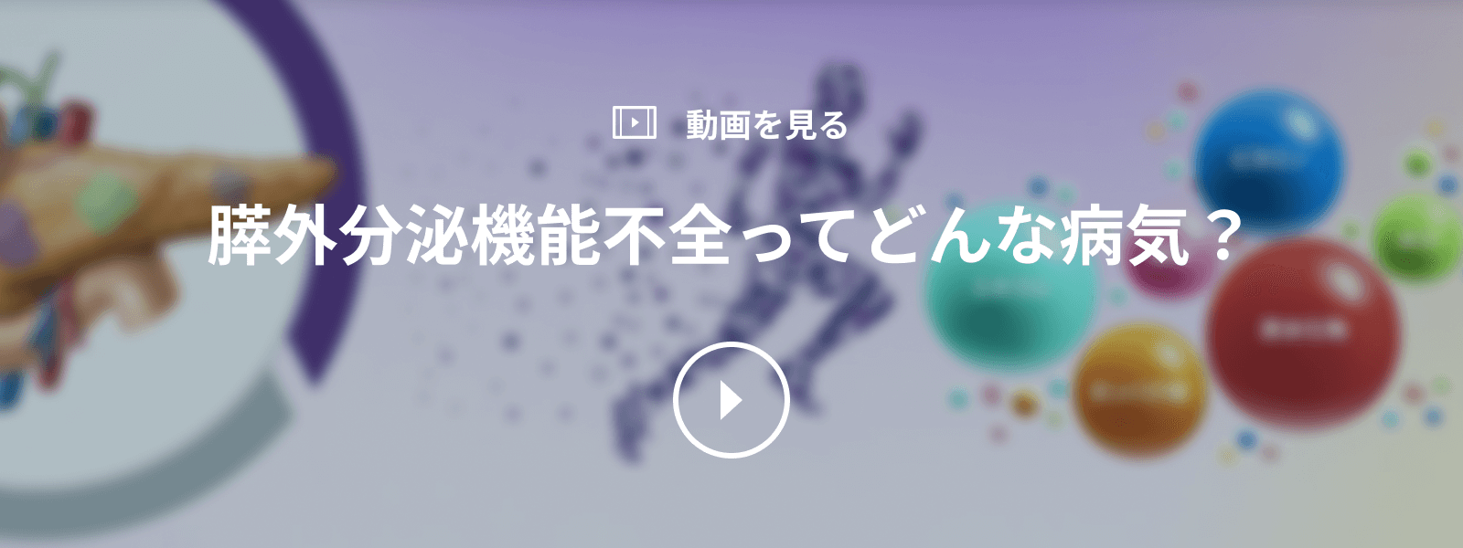 膵外分泌機能不全ってどんな病気?