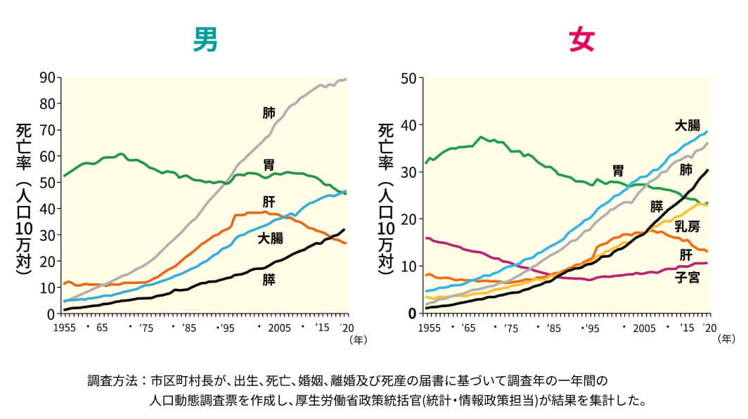 悪性新生物＜腫瘍＞の主な部位別死亡率（人口 10 万対）の年次推移の折れ線グラフ